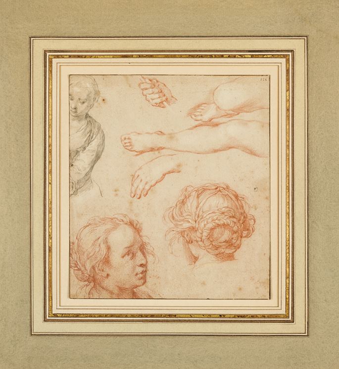 Abraham Bloemaert - Studies of the Head of a Young Woman, Legs and Hands and the Bust of a Woman | MasterArt